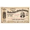 Image 1 : Martin White Mining Company Stock [160618]