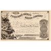 Image 1 : Tuolumne Water Co. Stock [162190]