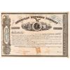 Image 1 : American Express Company Stock Certificate Signed by Wells, Fargo, & Holland [155768]