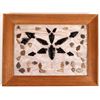 Image 1 : Arrowhead Display, Framed, 43 pcs [159503]