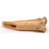 Image 1 : Crow Bison Bone Scraper [161860]