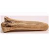 Image 2 : Crow Bison Bone Scraper [161860]