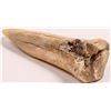 Image 3 : Crow Bison Bone Scraper [161860]