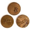 Image 2 : Skylab Medals [161819]