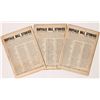 Image 2 : Buffalo Bill Weekly Dime Novels [163476]