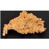 Image 1 : Australian Crystalline Gold Nugget [160092]
