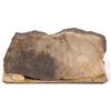 Image 2 : California Mine Silver Gold Ore Specimen, Virginia City, Nevada [164450]
