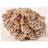Image 2 : Desert Rose [150836]