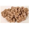 Image 1 : Desert Rose [150835]