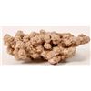 Image 2 : Desert Rose [150835]