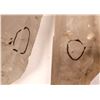 Image 3 : Mix Of Quartz And Calcite.  [150820]