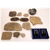 Image 1 : Bugs, Bivalves And Magnetite [150827]