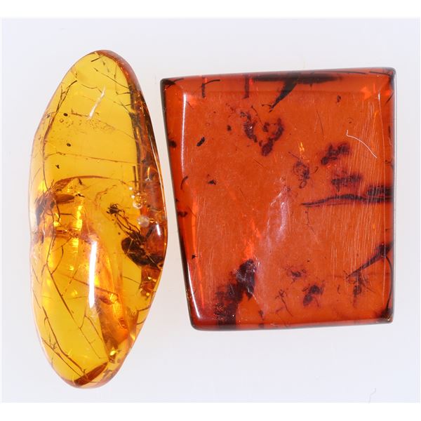 Amber With Insects [157557]