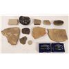 Image 1 : Bivalve, Magnetite, Insect Fossils [150866]