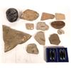 Image 1 : Magnetite, Bivalve And Insect Fossils [150858]