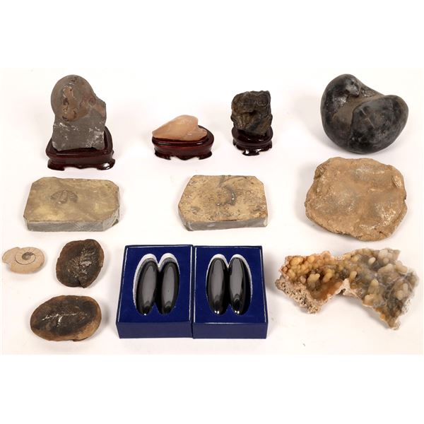 Fossilized Insects, Bivalves, Coral and Quartz [150821]