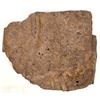 Image 2 : Crinoid Plate [150854]