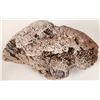 Image 1 : Coral Fossil [150851]