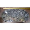 Image 1 : Polished Fossil Table Top Slab [161913]