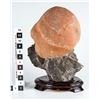 Image 1 : Chinese Viewing Stone: Limestone with Sandstone Nodule [149097]