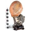 Image 2 : Chinese Viewing Stone: Limestone with Sandstone Nodule [149097]