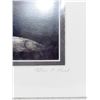 Image 2 : SIGNED PRINT BLACK BEAR PATRICA PLANK NUMBERED