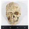Image 1 : NEW MINIATURE SKULL. ONE SIDE SKULL OTHER SIDE