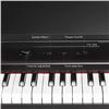Image 2 : NEW THE ONE LIGHT 61 KEY KEYBOARD DIGITAL PIANO
