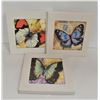 Image 1 : 3 SQUARE CERAMIC KITCHEN TRIVET,BUTTERFLY