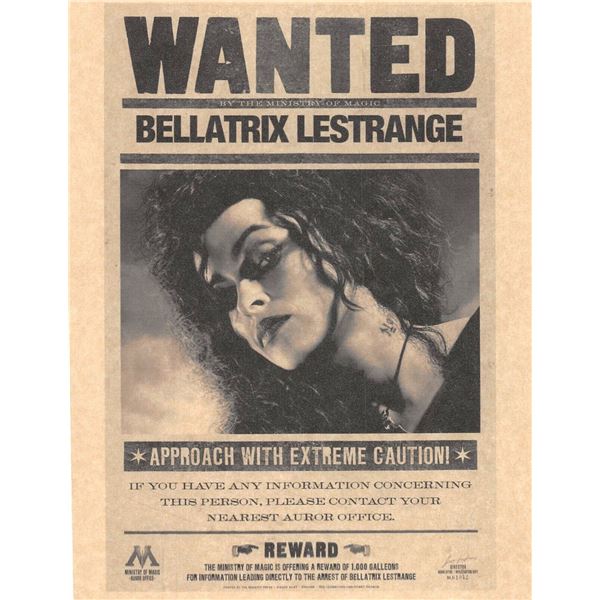 Harry Potter Wanted Prop Print