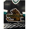 Image 2 : Framed Vancouver Grizzlies Hockey Jersey