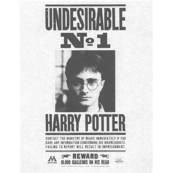 Harry Potter Undesirable Flyer Prop Print