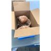 Image 1 : 4 SALT ROCK LAMPS