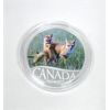 Image 4 : 12 x 1/2 Oz .9999 Silver Canada Coins in Rosewood Presentation Box 