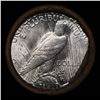 Image 3 : ***Auction Highlight*** Full solid date 1922-p Uncirculated Peace silver dollar roll, 20 coins (fc)
