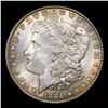 Image 2 : 1884-p Morgan Dollar $1 Grades GEM Unc