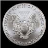 Image 3 : 2018 Silver Eagle Dollar $1 Grades ms69