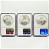 Image 2 : 2002 Set (3) American Silver Eagles NGC MS69
