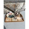 Image 1 : Tray shells etc