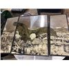 Image 2 : Assorted pictures and eagle mirror