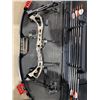 Image 2 : Bear apprentice 111 bow arrows and case smaller