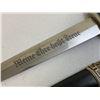 Image 2 : THIRD REICH GERMANY M36 CHAINED SS DAGGER