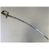 Image 4 : ANTIQUE BRITISH HUSSAR NAPOLEONIC WARS PERIOD SWORD LION HEAD