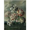 Image 2 : D. THORNTON LONDON 1803 PRINT "GROUP OF CARNATIONS" FRAMED