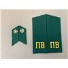 Image 1 : USSR KGB BORDER GUARDS SHOULDER BOARDS / COLLAR TABS