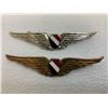 Image 1 : EGYPT VINTAGE EGYPTIAN AIR FORCE PILOT WINGS LOT OF 2