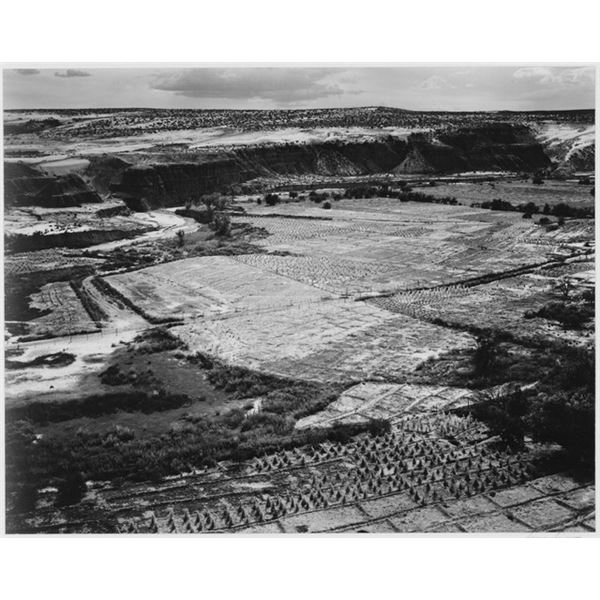 Adams - Corn Field, Indian Farm near Tuba City, Arizona 1941