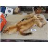 Image 1 : Vintage Tanned Fox Hide - Broken Tail - Over 40" Long 10" wide