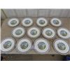 Image 1 : 12 Royal Albert Silver Birch Dinner Plates 10 1/4"