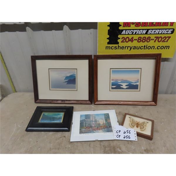 Pictures, Prints, Butterfly Framed Up - 2 By Peter Morgraf